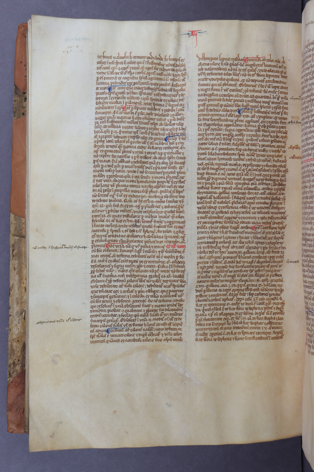 Folio 136 verso